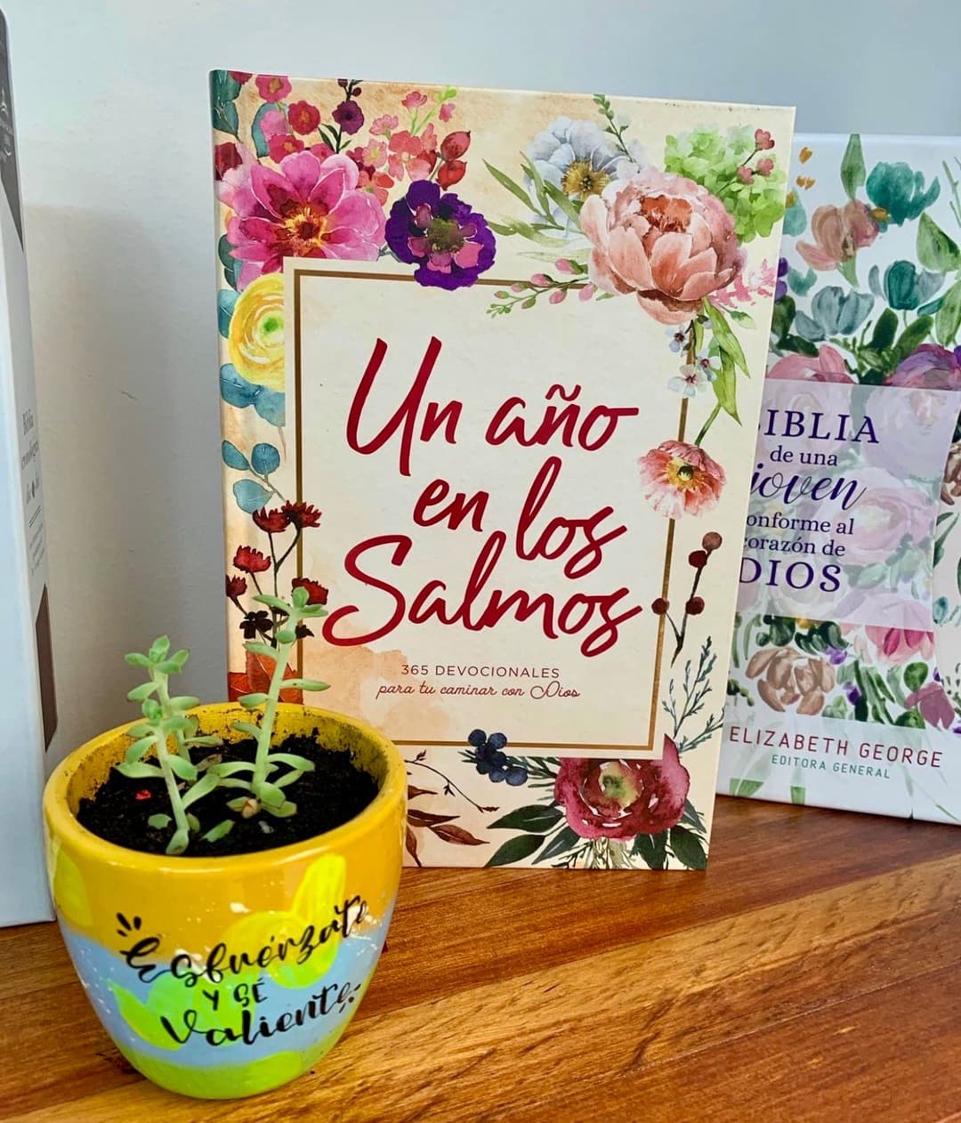 Un año en los Salmos